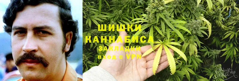 как найти   Куртамыш  Шишки марихуана SATIVA & INDICA 